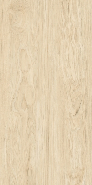 ModernWood Texture