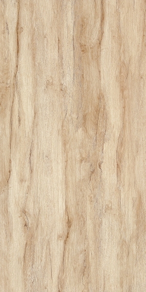 ModernWood Texture