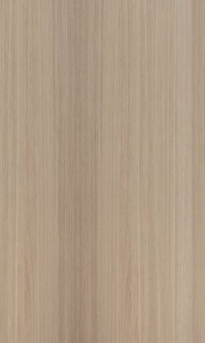 ModernWood Texture