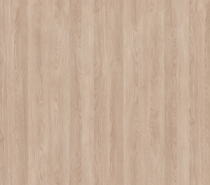 ModernWood Texture