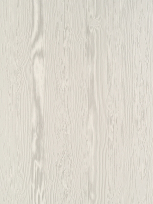 ModernWood Texture