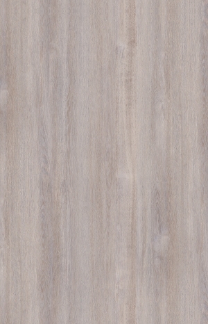 ModernWood Texture