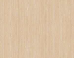 ModernWood Texture