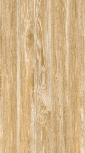 ModernWood Texture