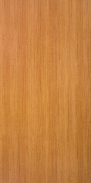 ModernWood Texture