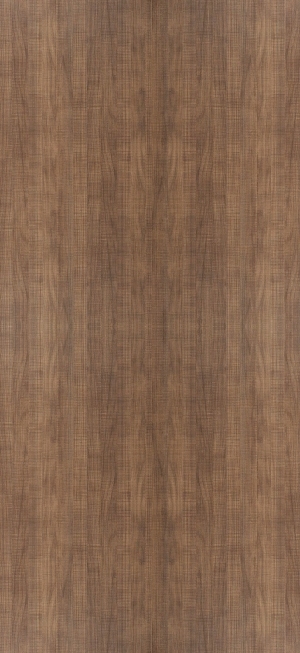 ModernWood Texture