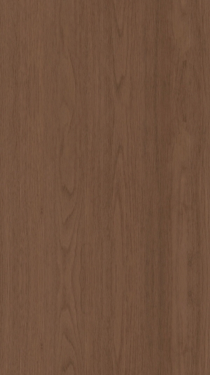 ModernWood Texture
