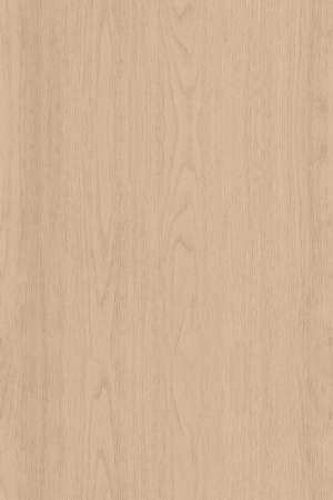 ModernWood Texture