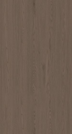 ModernWood Texture