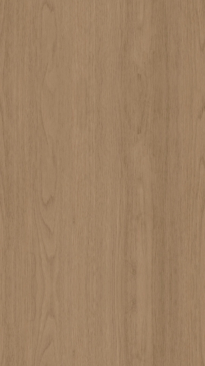 ModernWood Texture