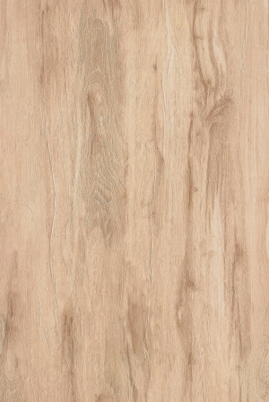 ModernWood Texture