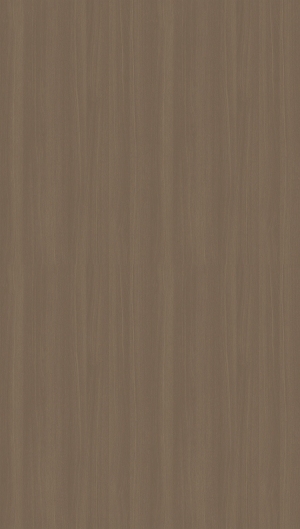 ModernWood Texture