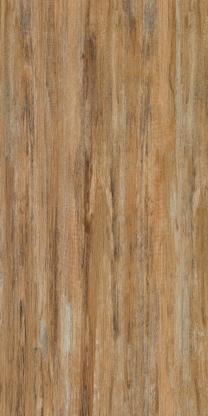 ModernWood Texture