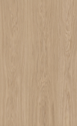 ModernWood Texture