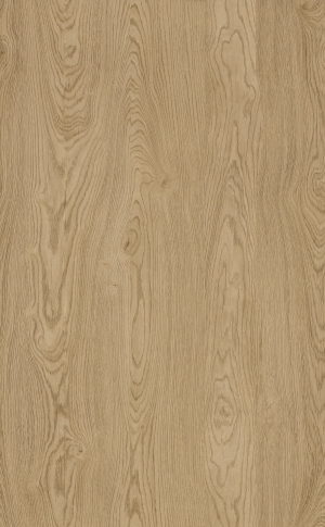 ModernWood Texture
