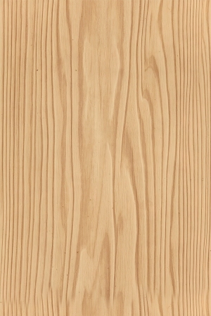 ModernWood Texture