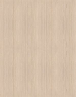 ModernWood Texture