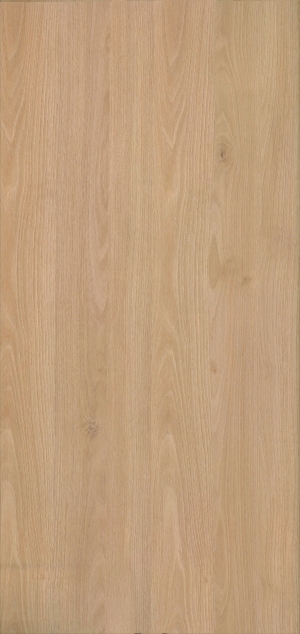 ModernWood Texture