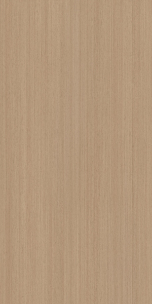 ModernWood Texture