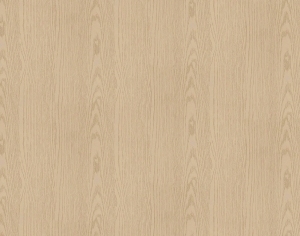 ModernWood Texture