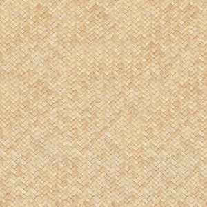ModernRattan Texture