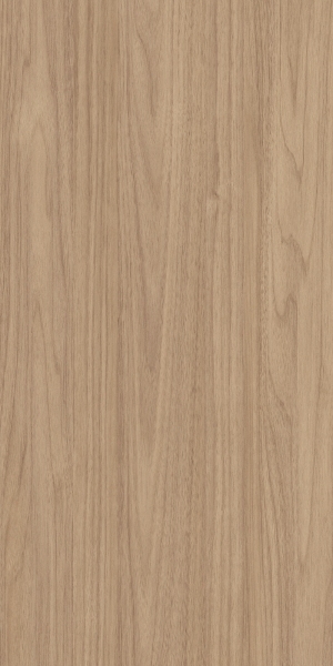 ModernWood Texture