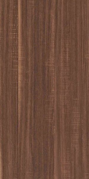 ModernWood Texture
