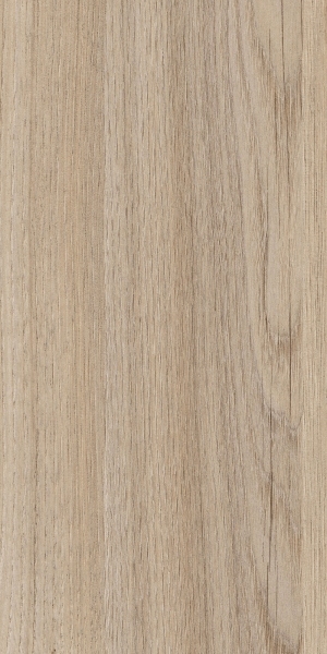 ModernWood Texture