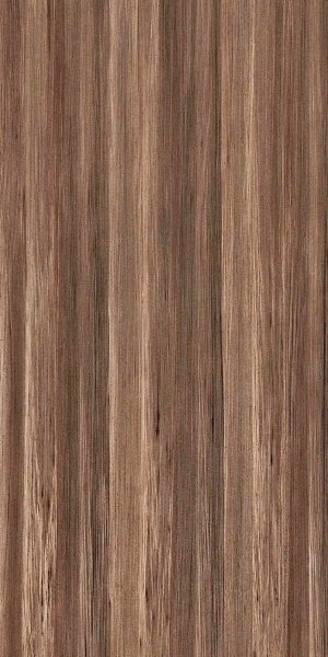 ModernWood Texture