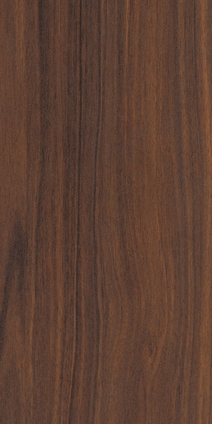 ModernWood Texture