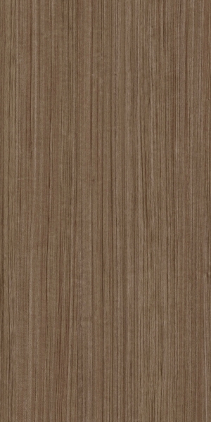 ModernWood Texture