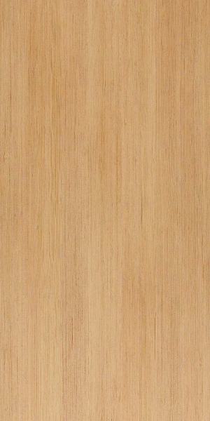 ModernWood Texture