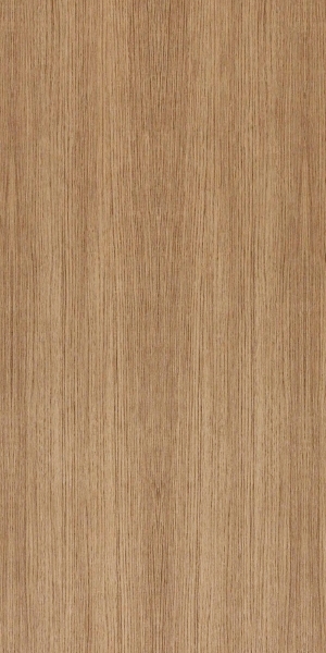 ModernWood Texture