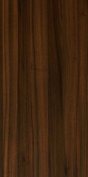 ModernWood Texture
