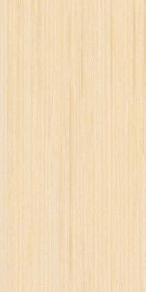 ModernWood Texture