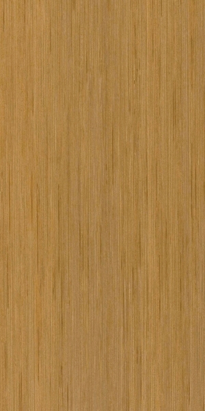 ModernWood Texture