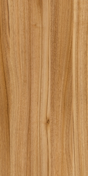 ModernWood Texture