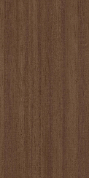 ModernWood Texture