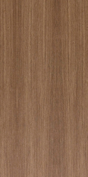 ModernWood Texture