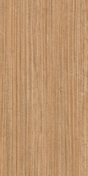 ModernWood Texture