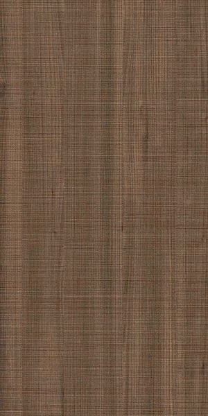ModernWood Texture