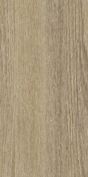 ModernWood Texture