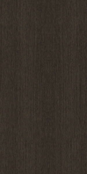 ModernWood Texture