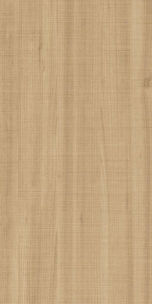 ModernWood Texture