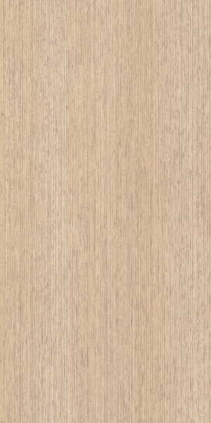 ModernWood Texture