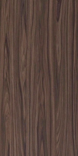 ModernWood Texture