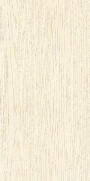 ModernWood Texture