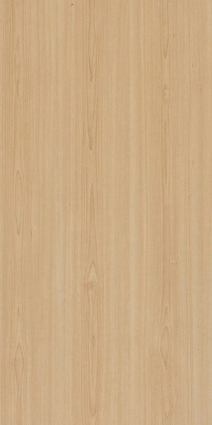 ModernWood Texture