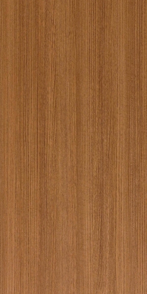 ModernWood Texture