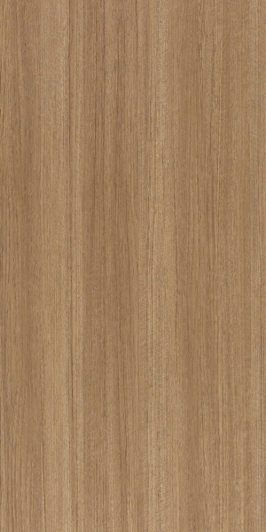 ModernWood Texture